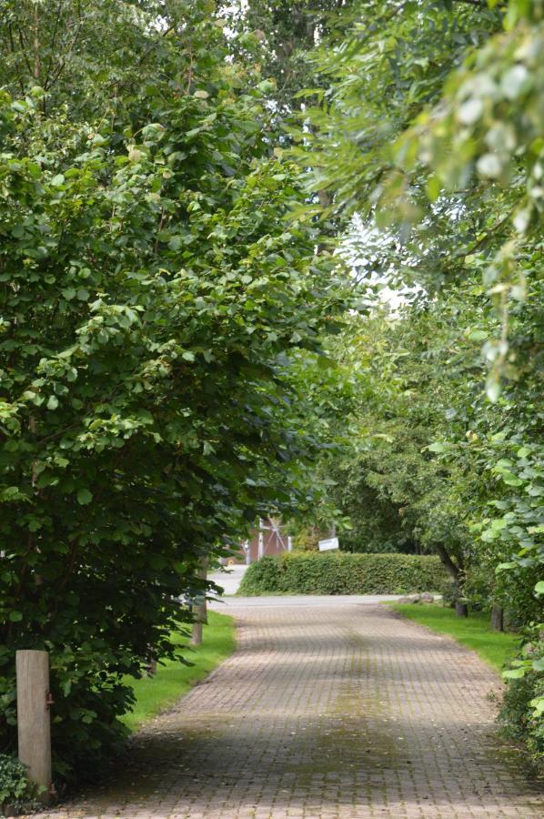 Bij Ons Op 20 Bed and Breakfast Nijeveen Exteriör bild